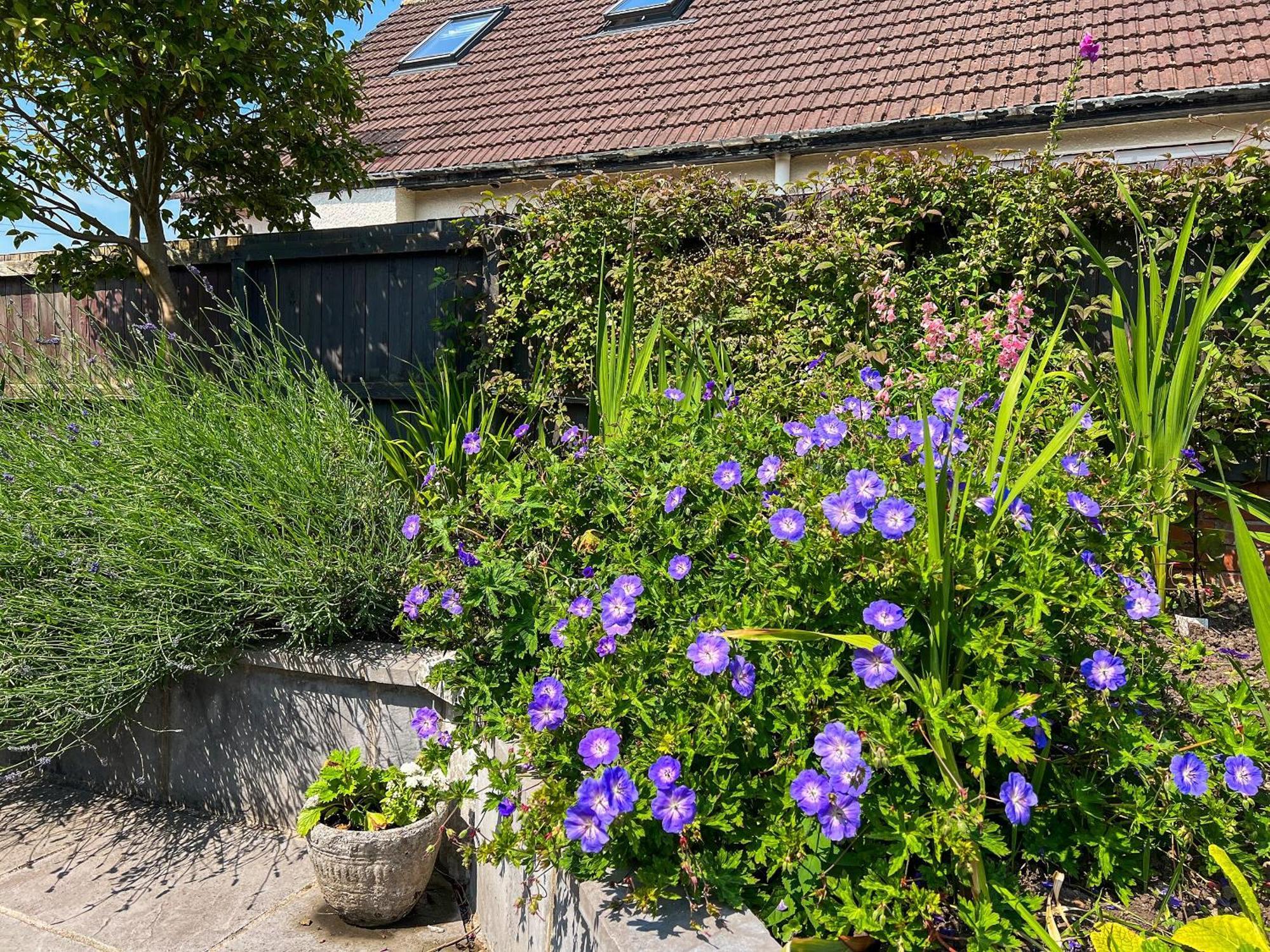 Cwtch Cottage Cardiff Exterior foto